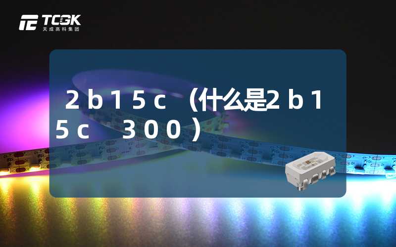 2b15c（什么是2b15c 300）